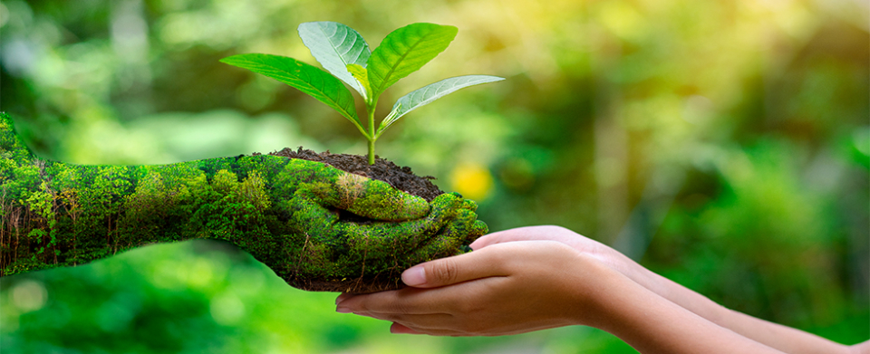 NARODA ENVIRONMENT MONITORING COMMITTEE (NEMC)