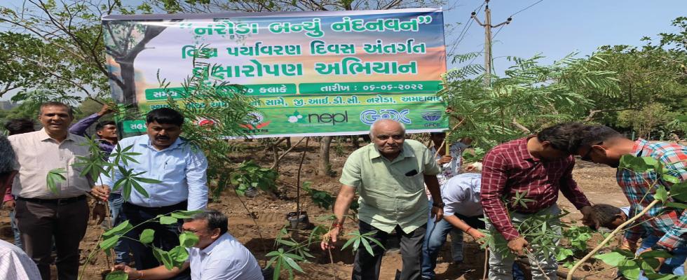 Plantation of trees in front of GIDC Post Office in Naroda Colony